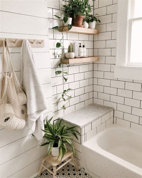 The 10 Best Indoor Plants for Your Bathroom - Decoholic