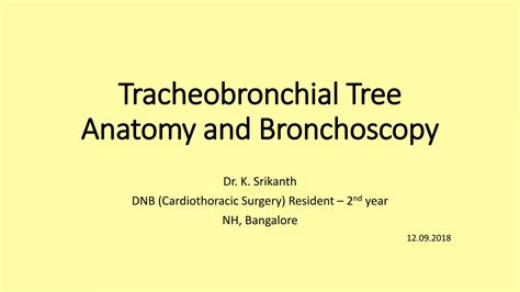 Tracheobronchial tree anatomy and bronchoscopy | PPT