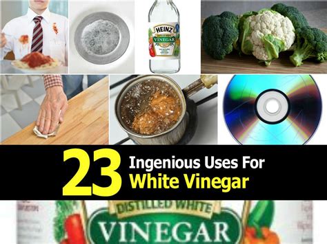 23 Ingenious Uses For White Vinegar