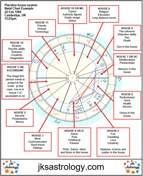 Understanding Natal Chart House Layout | Astrology chart, Birth chart ...