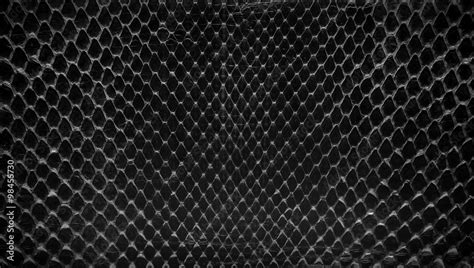 Black snake skin, abstrat leather texture for background. Stock Photo ...