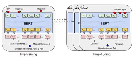 Introducing Fastbert A Simple Deep Learning Library For Bert Models How ...