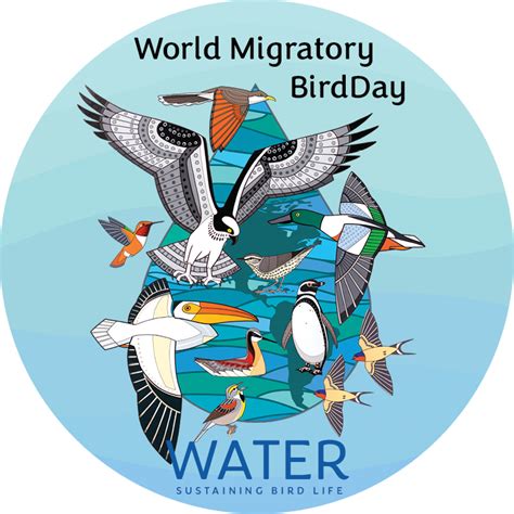 World Migratory Bird Day - Partners in Flight