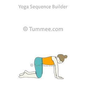 Table Top Pose Yoga(Bharmanasana)| Yoga Sequences, Benefits, Variations ...