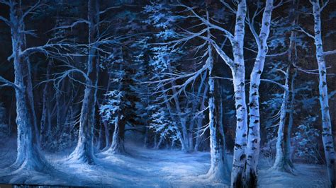 Snowy Forest At Night