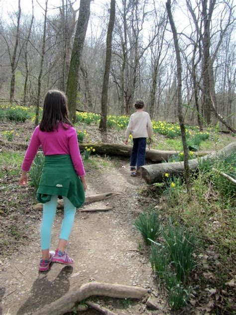 Fun Outdoor Activities For Families - Family Focus Blog