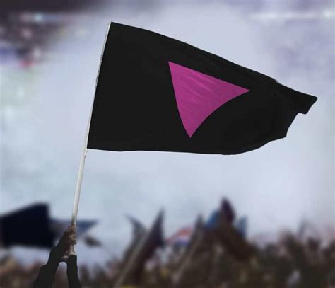 Pink Triangle LGBT Pride Flag | Flags For Good