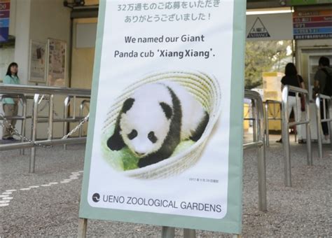 Giant panda cub born at Tokyo's Ueno zoo named Xiang Xiang