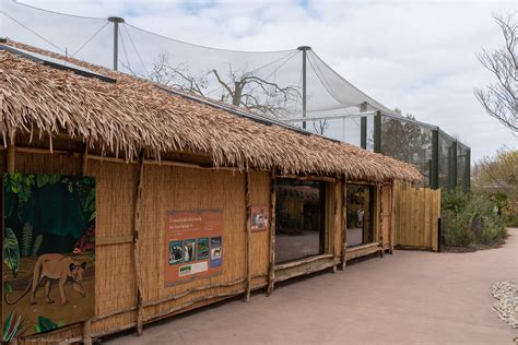 Fossa House - Madagascar Exhibit - 26/03/2019 - ZooChat