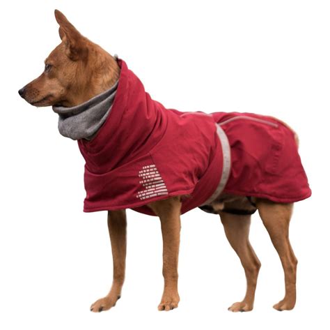 12 Coziest Dog Coats for Winter | The Family Handyman