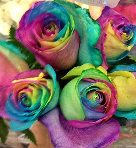 Tie dye roses! Tie Dye Roses, Beautiful Things, Inspired, Flowers, Plants, Plant, Royal Icing ...