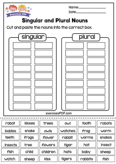 Cut and paste the nouns into the correct box - Exercises PDF