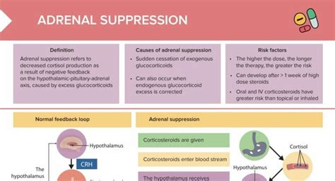 Adrenal Suppression [+ Free Cheat Sheet] | Lecturio Nursing