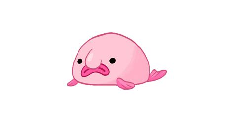 Blobfish