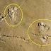 5.7 Million-year-old Human Footprints Fossil May Challenge History of Human Evolution