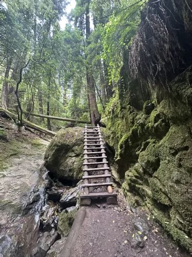 Best 10 Hiking Trails in Mount Tamalpais State Park | AllTrails