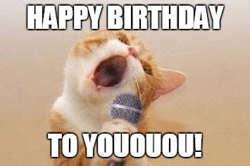 cat singing happy birthday meme – Happy Birthday Memes