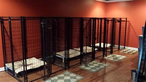 dog kennel diy indoor #dogkenneldiyindoor | Indoor dog kennel, Dog rooms, Diy dog kennel