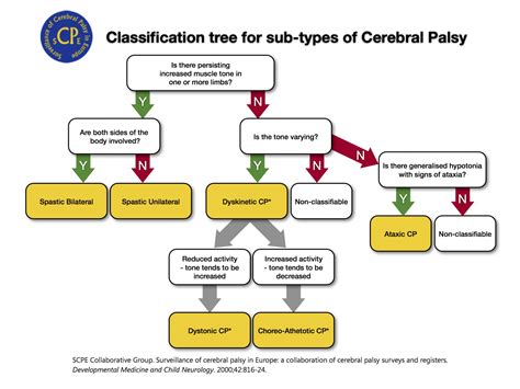 Cerebral Palsy Introduction - Physiopedia