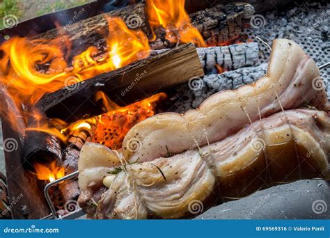 Roast pig on a spit stock photo. Image of meat, burn - 69569316