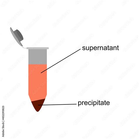 Vector illustration of supernatant liquid and precipitate in a tube ...