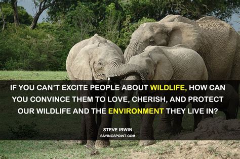 Save Wildlife Quotes - ShortQuotes.cc