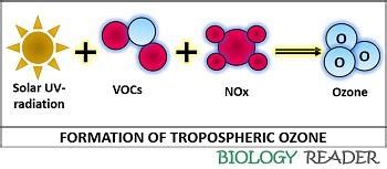 Ozone Formation - Definition, Properties & Generation - Biology Reader