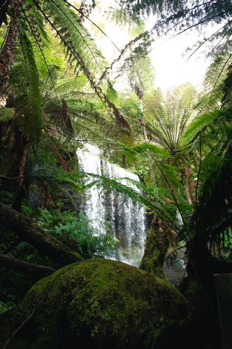 How to visit Russell Falls Tasmania: The Iconic Waterfall