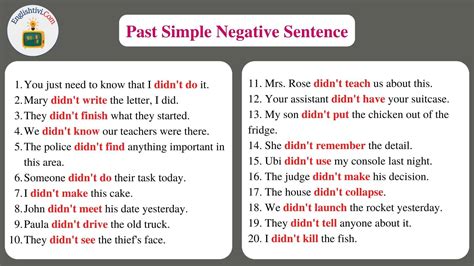 60 Sentences Example in Past Simple Tense - Englishtivi