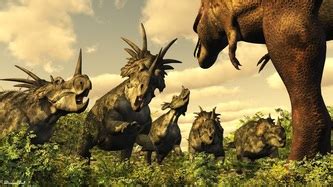 Styracosaurus - Dinosaurussen