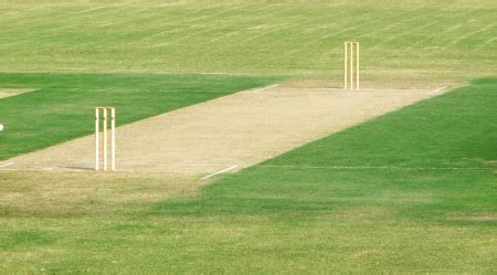 Cricket Pitch - Turf Matters