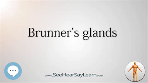 Brunner's glands Anatomy Named After People 🔊 - YouTube