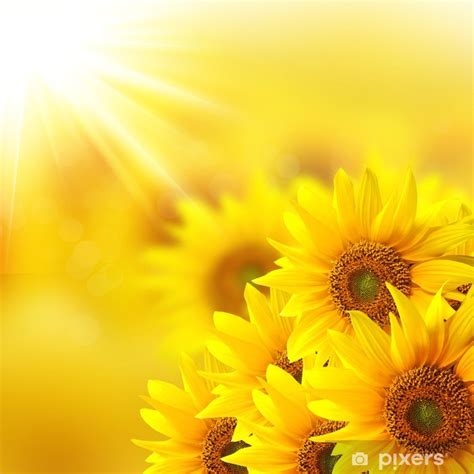 Wall Mural Sunshine background with sunflower details - PIXERS.CA