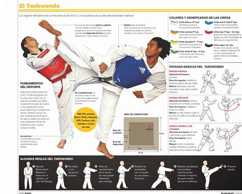 Taekwondo, Infographic, Dojo