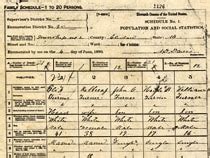 1890 United States Federal Census Fragment