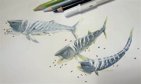 Explore the Best Leedsichthys Art | DeviantArt