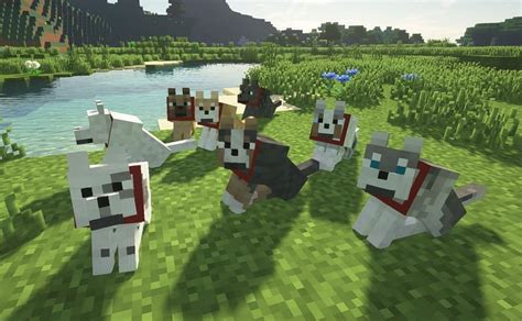 Top 5 features Minecraft should have added already