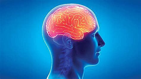 Understanding what creates acute encephalitis syndrome