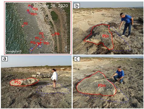 Figure A10. Central area of Punta Pizzo headland, examples of TD ground ...