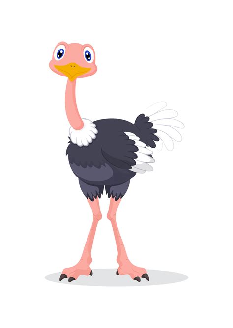 Clipart ostrich vector isolated on white background 13171552 Vector Art ...