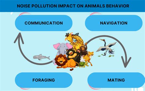 Changes In Animal Behavior Due To Noise Pollution - Sigma Earth