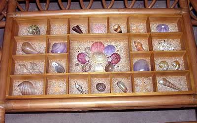 Jeri’s Organizing & Decluttering News: Collections on Display: Shells and More