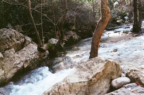 Waterfalls in Forest · Free Stock Photo