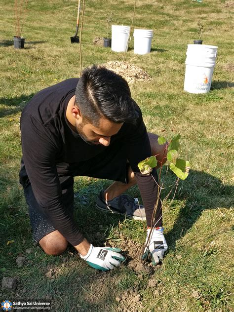 Annual Tree Planting in Canada – Sri Sathya Sai Universe