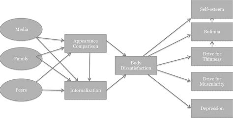 Figure 1 from Exploring the Tripartite Influence Model of body ...