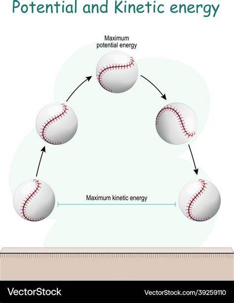 Potential and kinetic energy for example baseball Vector Image