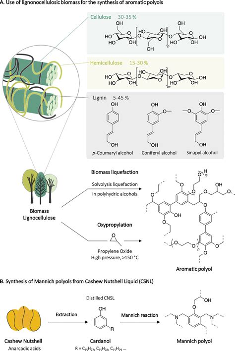 From Lab to Market: Current Strategies for the Production of Biobased ...