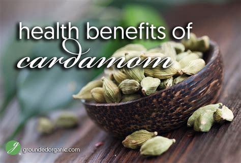 Health Benefits of Cardamom - Grounded Organic