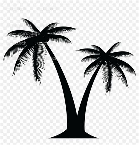 Download and share clipart about Palm Tree - Transparent Background ...