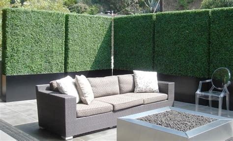 backyard-privacy-plants-17 - Gardening Soul